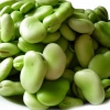 蚕豆，胡豆 1...
